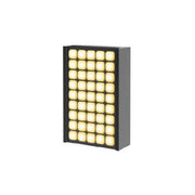 CAP22104 Black 13W 3000K Wall Lamp – IP65 Outdoor Fixture