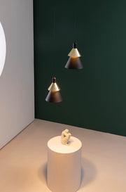 TRE-22801-8 8W 3000K Black & Gold LED Pendant Lamp – Elegant Accent Lighting with Warm Glow and Soph
