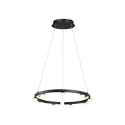 TRE-51097P 43W 3000K Black LED Pendant Lamp – TREMILA