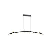 TRE-51105P 36W 3000K Black LED Pendant Lamp – TREMILA