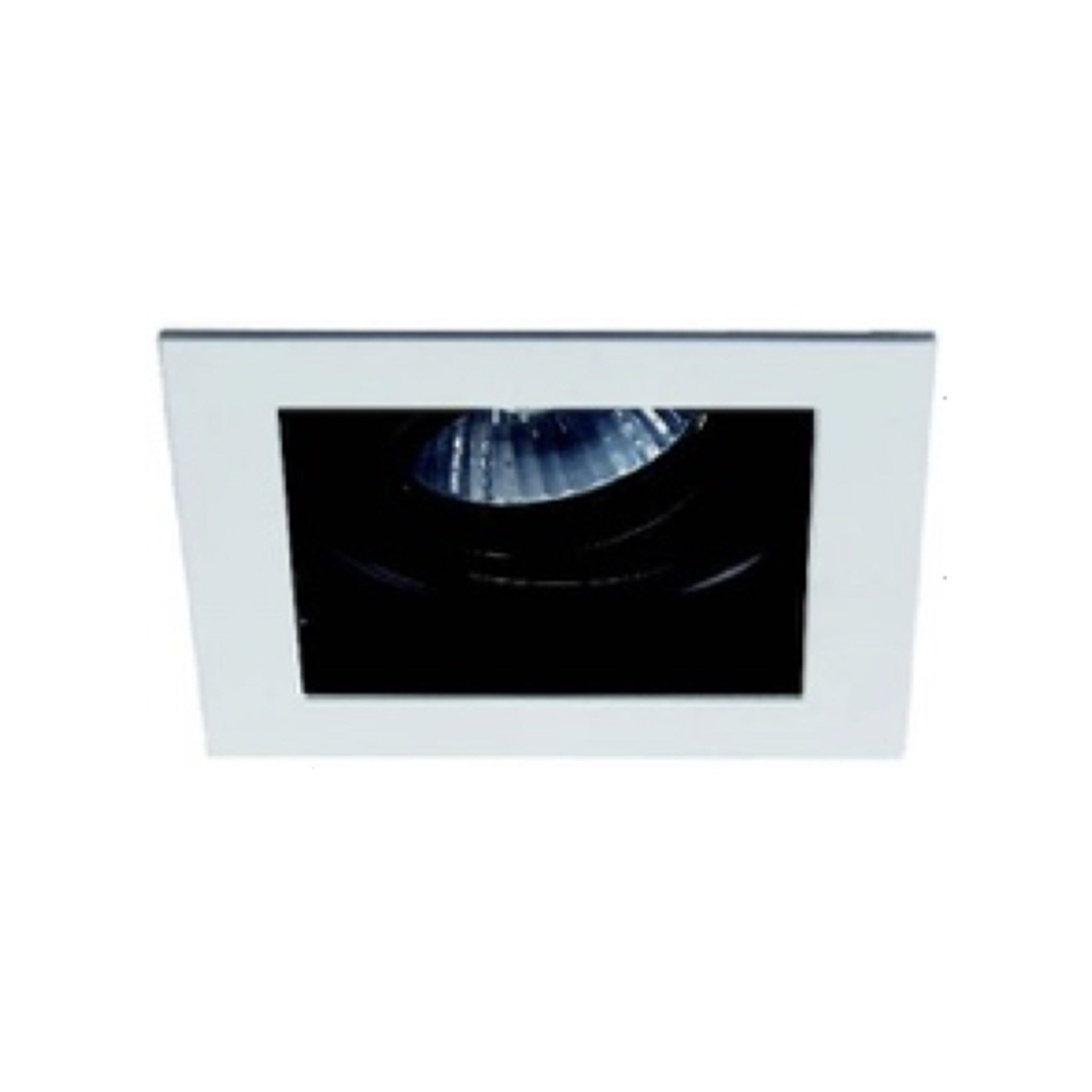 CAP-6621-W/B White + Black G5.3 Adjustable Square Spot