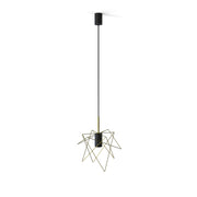 8854 1XGU10 Black & Brass Pendant Lamp – Modern Nowodvorski with Sleek Contrast