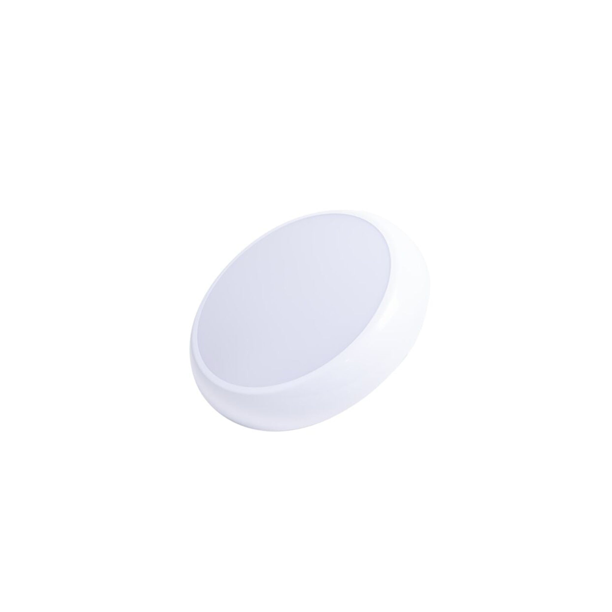LUZ‑BH256 CCT 12 W White & Black Round LED Ceiling (Ø256 mm, IP65)